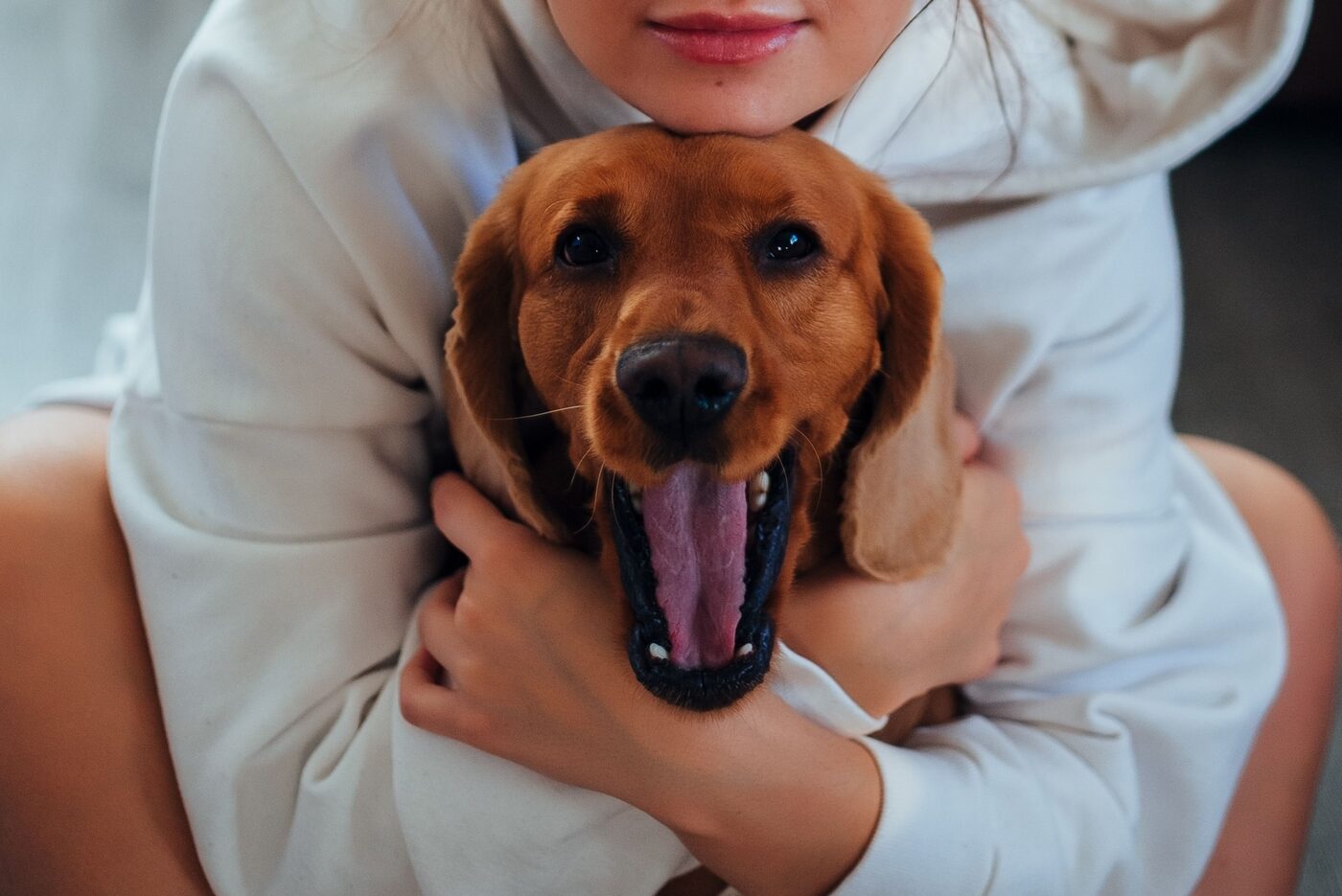 Persona che abbraccia il proprio cane a casa