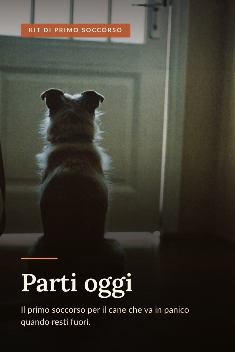 La copertina del Kit Parti oggi: un cane seduto davanti alla porta di casa